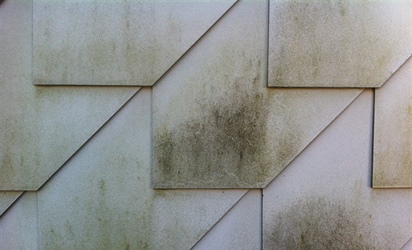 Fassadenreinigung mit Algenbehandlung