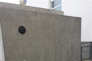Algenbefall auf Beton