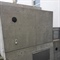 Algenbefall auf Beton